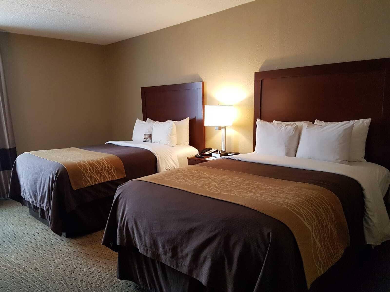 Comfort Inn Wethersfield - Hartford Dış mekan fotoğraf