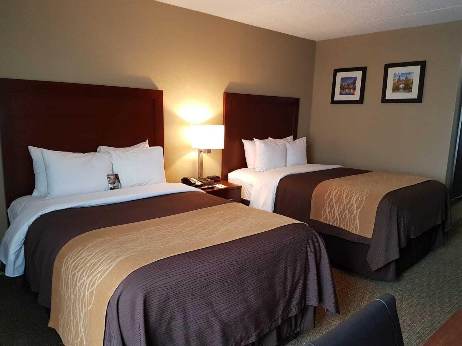 Comfort Inn Wethersfield - Hartford Dış mekan fotoğraf